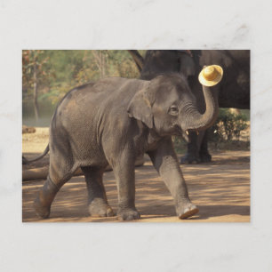 Asien, Thailand, Lampang Verbeugung mit Hut - Thai Postkarte