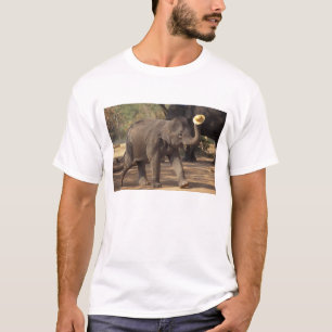Asien, Thailand, Lampang Verbeugung mit Hut - Thai T-Shirt