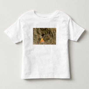 Asien, Thailand, Mae Hong Son, Buddha-Bilder Kleinkind T-shirt