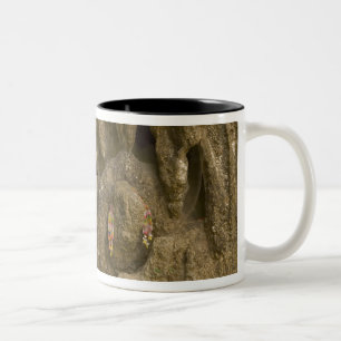 Asien, Thailand, Mae Hong Son, Buddha-Bilder Zweifarbige Tasse