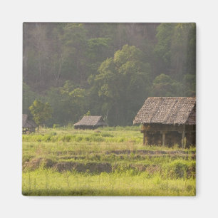 Asien, Thailand, Mae Hong Son, Reishütten in der Magnet