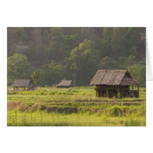 Asien, Thailand, Mae Hong Son, Reithütten in den
