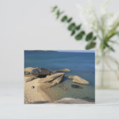 Asien, Thailand, Samui. Beach Postkarte (Stehend Vorderseite)
