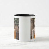 Asien, Thailand, Siam, Buddha in Ayutthaya Tasse (Zentrum)