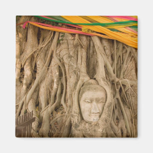Asien, Thailand, Siam, Buddha in Baumruten Magnet