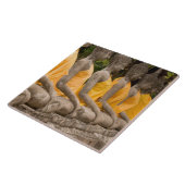 Asien, Thailand, Siam, Buddhas in Ayutthaya Fliese (Seite)