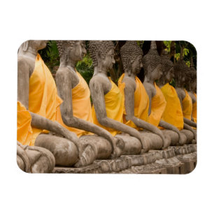Asien, Thailand, Siam, Buddhas in Ayutthaya Magnet