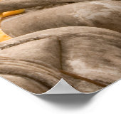 Asien, Thailand, Siam, Buddhas in Ayutthaya Poster (Ecke)