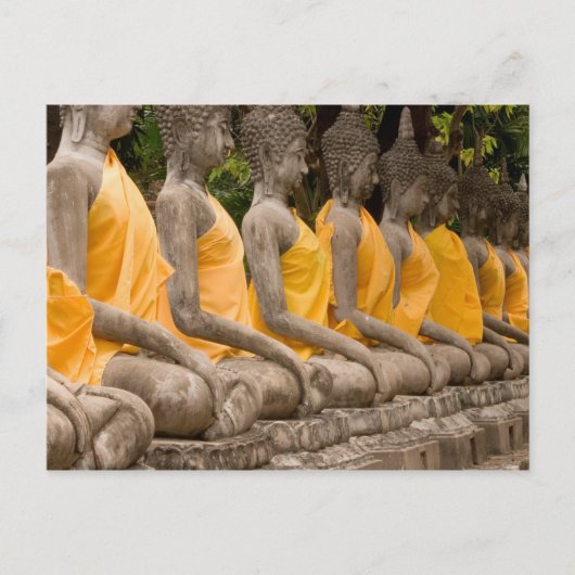 Asien, Thailand, Siam, Buddhas in Ayutthaya Postkarte (Vorderseite)