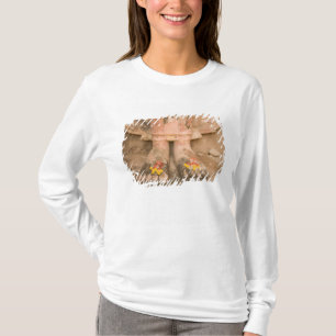 Asien, Thailand, Sukhothai, Buddha und T-Shirt