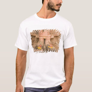 Asien Thailand, Sukhothai, Buddhas Füße und T-Shirt
