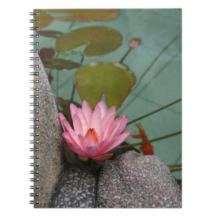 Asien, Vietnam. Seerose in einem Tempelteich Notizblock
