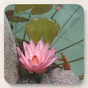 Asien, Vietnam. Seerose in einem Tempelteich Untersetzer