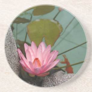 Asien, Vietnam. Wasserlilie in einem Tempelteich Getränkeuntersetzer