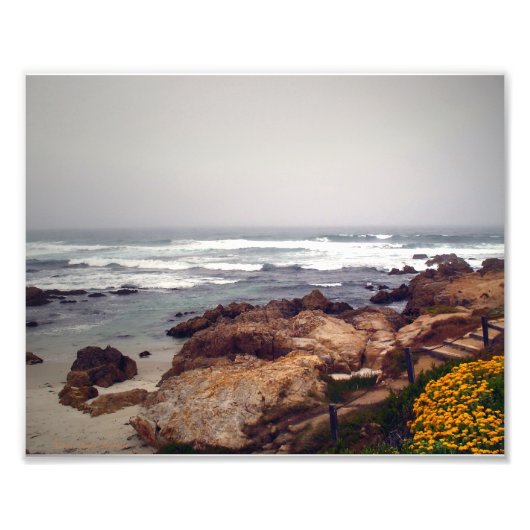 Asilomar Beach, Pacific Grove, CA, USA Fotodruck (Vorne)