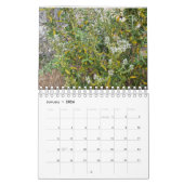 Asilomar-Blüten Kalender (Jan 2026)