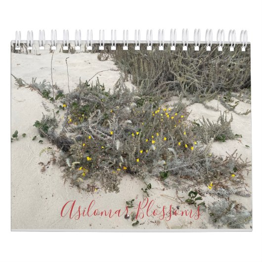 Asilomar-Blüten Kalender (Titelbild)