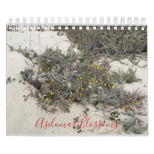 Asilomar-Blüten Kalender