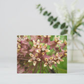 Asklepiade Postkarte (Stehend Vorderseite)