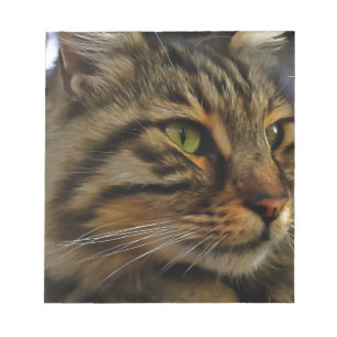 Aslan Die lange gehärtete Tablette der Katze Notizblock