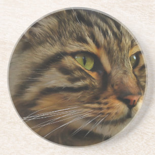 Aslan Die lange gehärtete Tablette der Katze Untersetzer