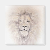 Aslan Magnet (Vorne)