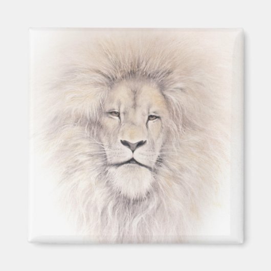 Aslan Magnet (Vorne)