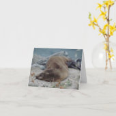 Asleep on the Rocks (Sea Lion) Karte (Gelbe Blume)