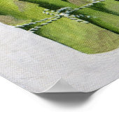 Asparagus 2013 poster (Ecke)