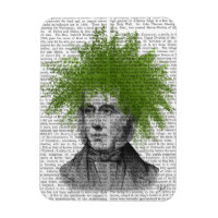 Asparagus Fern Head Pflanzen Head