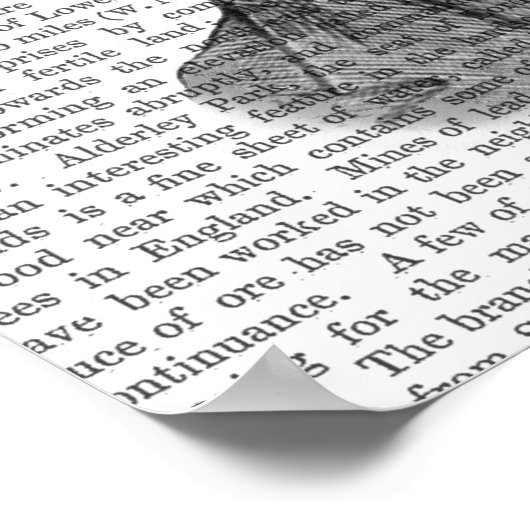 Asparagus Fern Head Pflanzen Head Poster (Ecke)