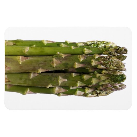 Asparagus Foto Magnet (Horizontal)