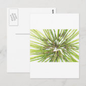 Asparagus Richtung Zentrum Postkarte (Vorne/Hinten)