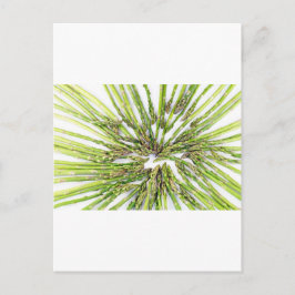 Asparagus Richtung Zentrum Postkarte