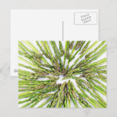 Asparagus Richtung Zentrum Postkarte (Vorne/Hinten)