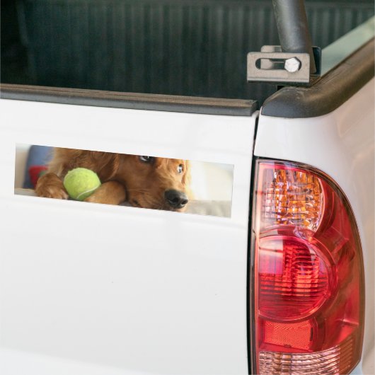 ASPCA-Hund Autoaufkleber (Auf Lkw)