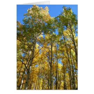 Aspekte im Fall