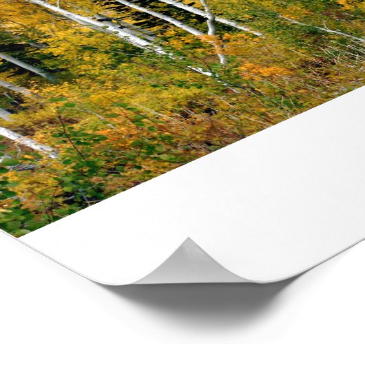 Aspekte im Fall Poster (Ecke)