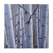 Aspekte im Nationalpark Gunnison Fliese (Vorderseite)