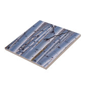 Aspekte im Nationalpark Gunnison Fliese (Seite)