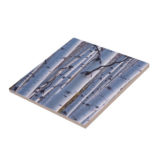 Aspekte im Nationalpark Gunnison Fliese (Seite)