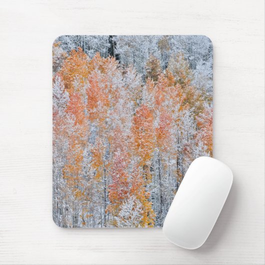 Aspekte und Schnee | Rocky Mountains, Colorado Mousepad (Mit Mouse)