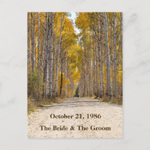 Aspen Alley im Herbst Hochzeitspostkarten Ankündigungspostkarte