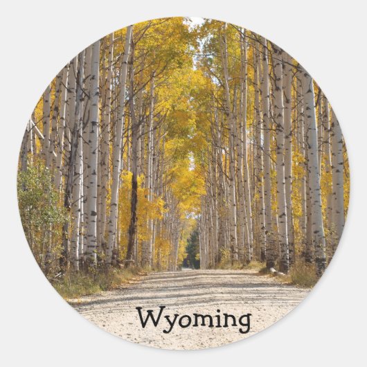 Aspen Alley im Herbst Runder Aufkleber (Vorderseite)