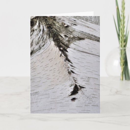 Aspen Bark Nah Karte (Vorderseite)