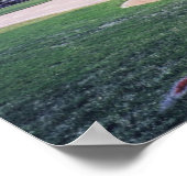 Aspen Baseball Poster (Ecke)