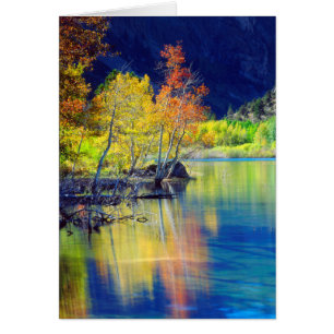 Aspen Baum im Herbst reflektiert in Grant Lake