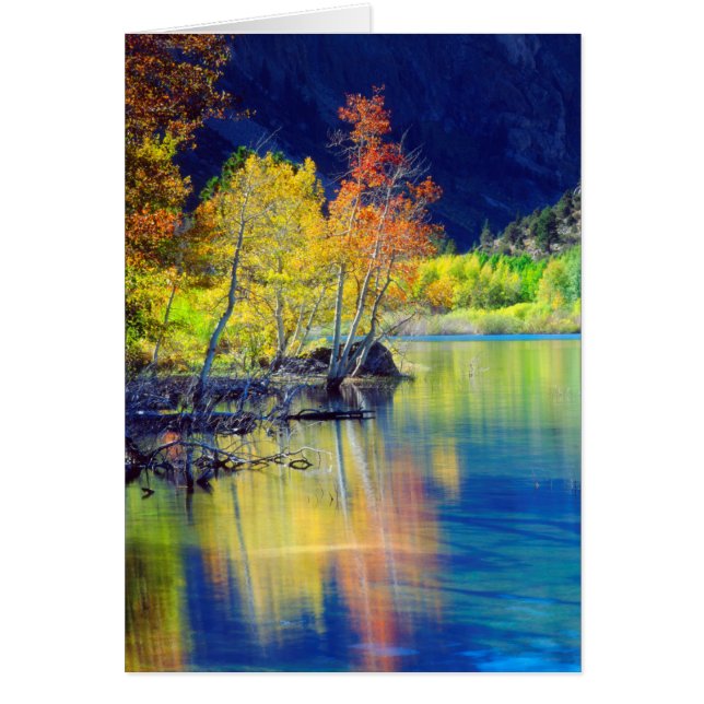 Aspen Baum im Herbst reflektiert in Grant Lake (Vorne)