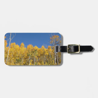 Aspen-Bäume, Colorado Gepäckanhänger