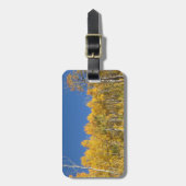 Aspen-Bäume, Colorado Gepäckanhänger (Vorderseite vertikal)